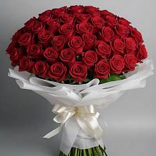 Букет 101 Красная роза Блэк Мэджик в Старобжегокайском