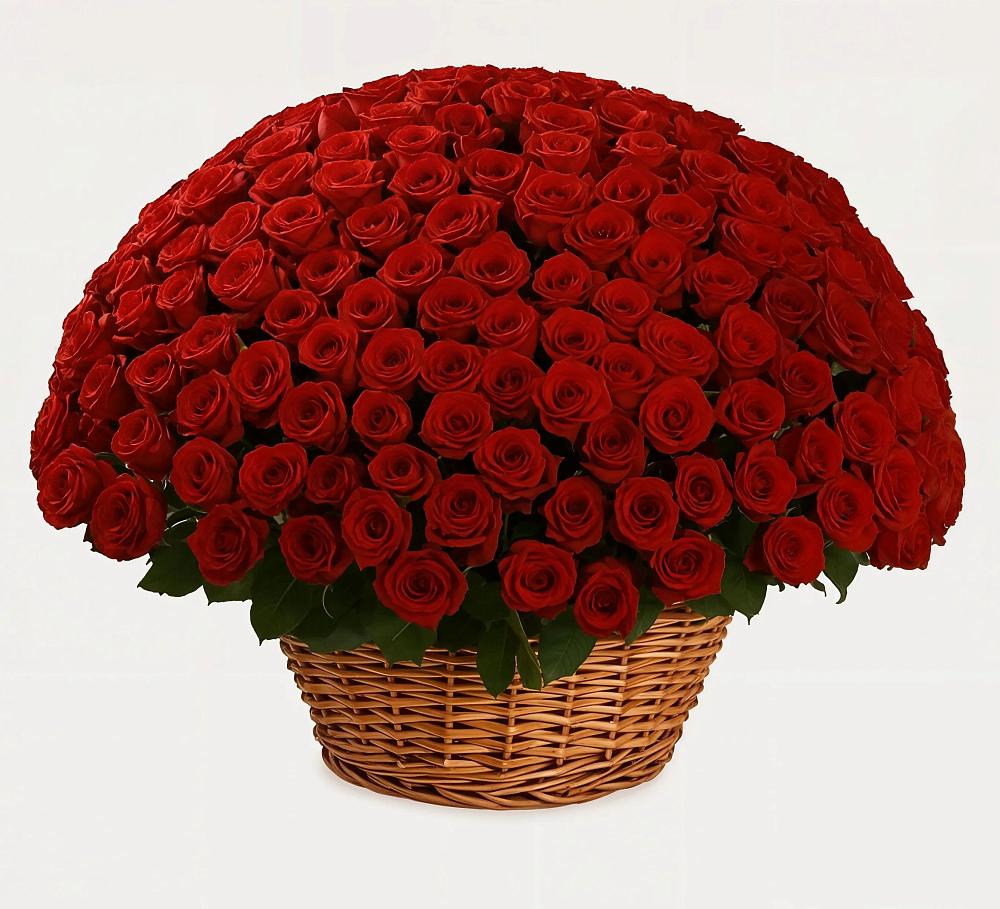 Премиум букет из: Розы в Старобжегокайском