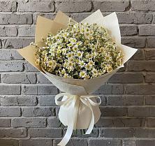 Букет цветов из:  Ромашки в Старобжегокайском