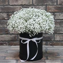 Цветочная композиция из Гипсофила в шляпной коробке #REPLACE_PRED# Старобжегокайском