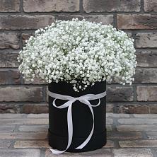Цветочная композиция из Гипсофила в шляпной коробке в Старобжегокайском